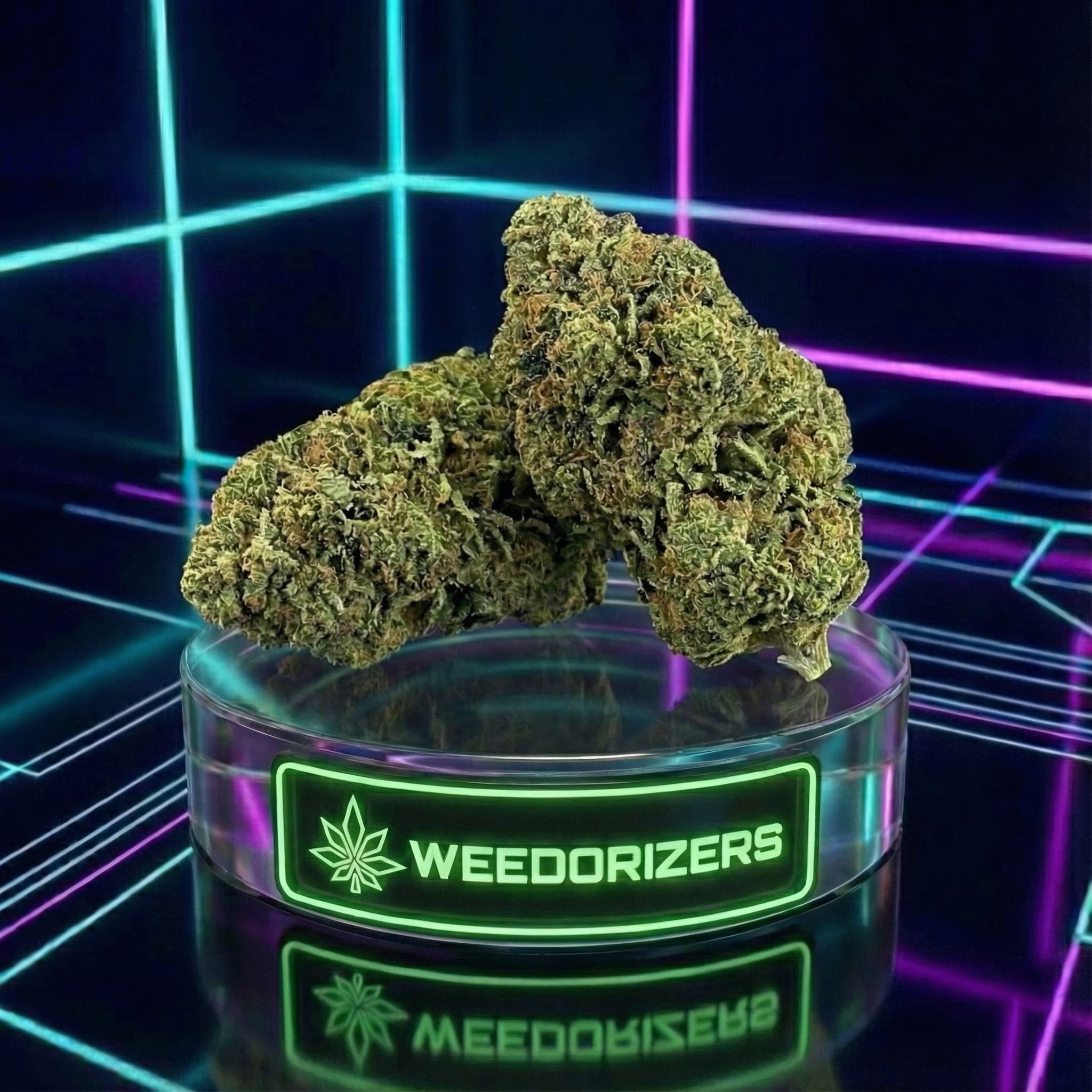 CBD Gorilla Frost